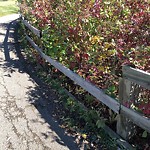 Shared Use Path - Walk/Bike/Run/Scoot/Blade at 10145 34 Street NW