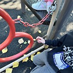 Structure/Playground Maintenance at 5303 190 Street NW