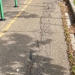 Shared Use Path - Walk/Bike/Run/Scoot/Blade at 11603 100 Avenue NW