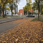 Shared Use Path - Walk/Bike/Run/Scoot/Blade at 10204 119 Street NW