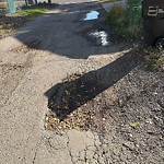 Potholes at 9606 75 Avenue NW