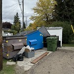 Overflowing Garbage Cans at 8070 Argyll Rd NW