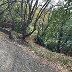 Shared Use Path - Walk/Bike/Run/Scoot/Blade at 9725 112 Street NW