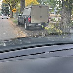 Tree/Branch Damage - Public Property at 11107 73 Avenue NW