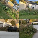 Noxious Weeds - Public Property at 11440 121 Street NW