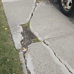 Sidewalk Concern at 2538 79 St Nw, Edmonton, Ab T6 K 3 Y5, Canada