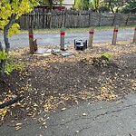 Shared Use Path - Walk/Bike/Run/Scoot/Blade at 9943 153 Street NW