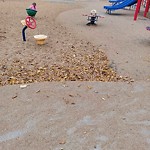 Structure/Playground Maintenance at 9350 82 Street NW