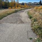 Shared Use Path - Walk/Bike/Run/Scoot/Blade at 3010 111 A Street SW