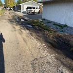 Potholes at 10823 33 Ave NW