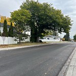 Overgrown Trees - Public Property at 10724 52 Street NW