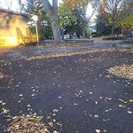 Structure/Playground Maintenance at 11803 86 Street NW