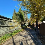 Tree/Branch Damage - Public Property at 14004 47 Avenue NW