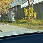 Overgrown Trees - Public Property at 344 Silver Berry Road NW