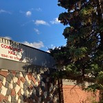 Overgrown Trees - Public Property at 10941 161 Street NW