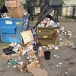 Overflowing Garbage Cans at 11223 87 Street NW