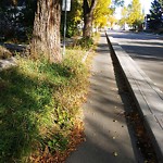 Shared Use Path - Walk/Bike/Run/Scoot/Blade at 7410 106 Street NW