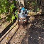 Overflowing Garbage Cans at 2423 Kaasa Road West NW