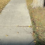 Sidewalk Concern at 9738 151 Street NW