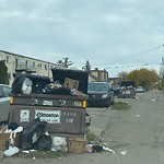 Overflowing Garbage Cans at 9702 155 Street NW