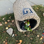 Overflowing Garbage Cans at 10572 31 Avenue NW