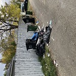 Overflowing Garbage Cans at 11938 38 St NW