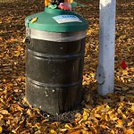 Overflowing Garbage Cans at 5514 92 C Avenue NW