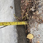 Sidewalk Concern at 9115 139 St NW