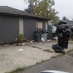 Overflowing Garbage Cans at 11302 109 A Avenue NW