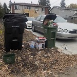 Overflowing Garbage Cans at 11306 109 A Avenue NW