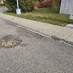 Potholes at 1220 78 Street NW