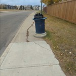 Overflowing Garbage Cans at 213 Warwick Road NW