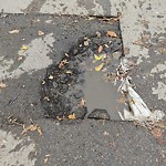 Potholes at 10010 113 Avenue NW