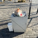 Overflowing Garbage Cans at 9610 102 A Avenue NW