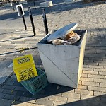 Overflowing Garbage Cans at 10246 96 Street NW