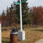 Overflowing Garbage Cans at N53.46 E113.42