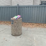 Overflowing Garbage Cans at 20404 51 Avenue NW