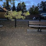 Structure/Playground Maintenance at 11003 61 Avenue NW