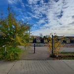 Shared Use Path - Walk/Bike/Run/Scoot/Blade at 8104 114 Ave Nw, Edmonton T5 B 0 J9