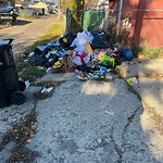 Overflowing Garbage Cans at 13318 121 Street NW