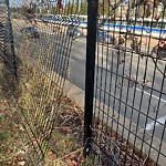 Shared Use Path - Walk/Bike/Run/Scoot/Blade at 11111 26 Avenue NW