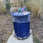 Overflowing Garbage Cans at 2155 69 Street SW