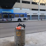 Overflowing Garbage Cans at 10020 102 A Avenue NW