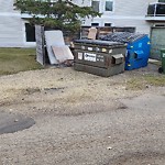 Overflowing Garbage Cans at 8613 29 Avenue NW