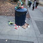 Overflowing Garbage Cans at 7732 Summerside Grande Boulevard SW