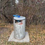 Overflowing Garbage Cans at 9404 Scona Road NW