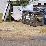 Overflowing Garbage Cans at 8613 29 Avenue NW