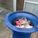 Overflowing Garbage Cans at 10637 124 Street NW