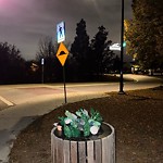 Overflowing Garbage Cans at 6415 Ada Boulevard NW