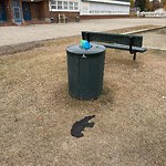 Overflowing Garbage Cans at 11303 55 Street NW